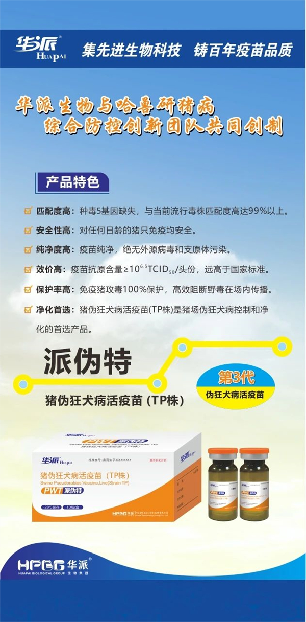 利来国际猪网