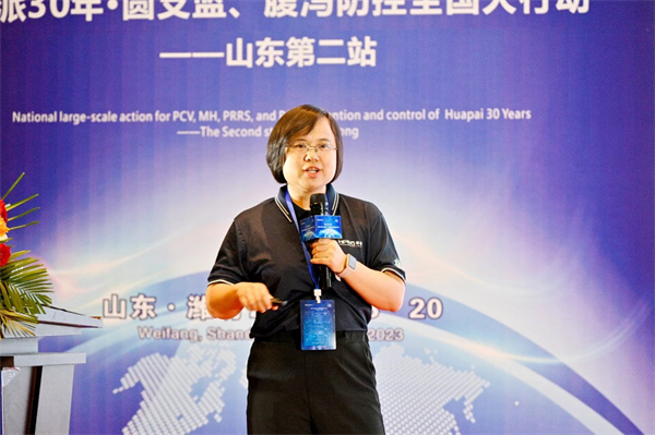 利来国际猪网