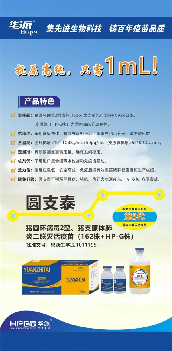 利来国际猪网