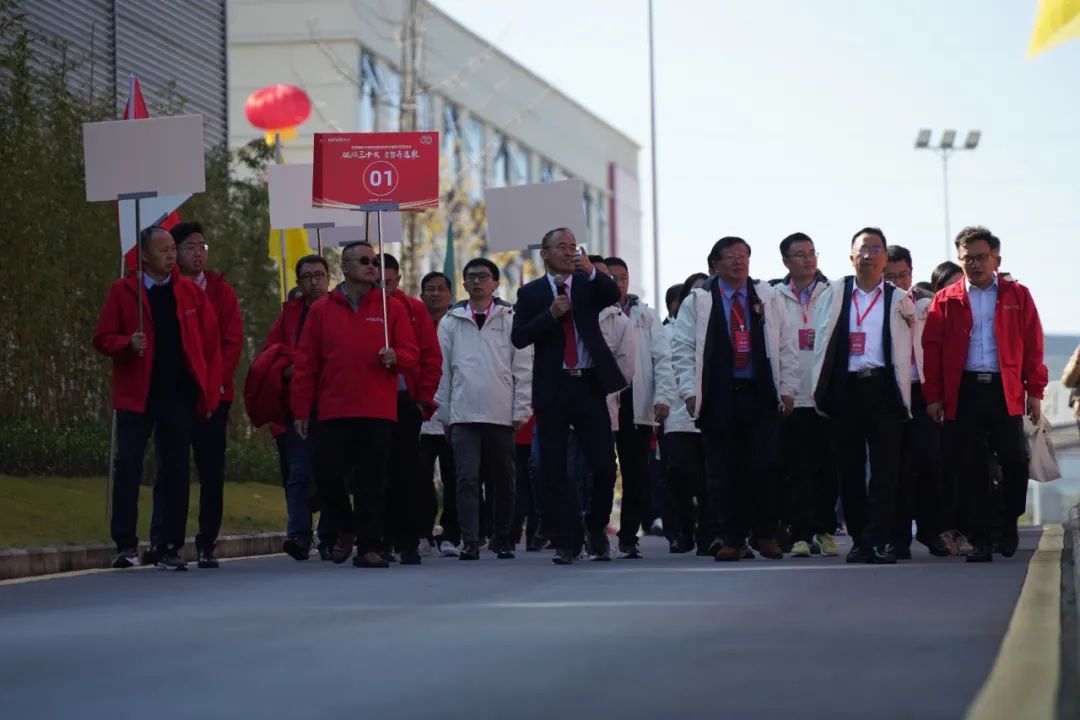 利来国际猪网