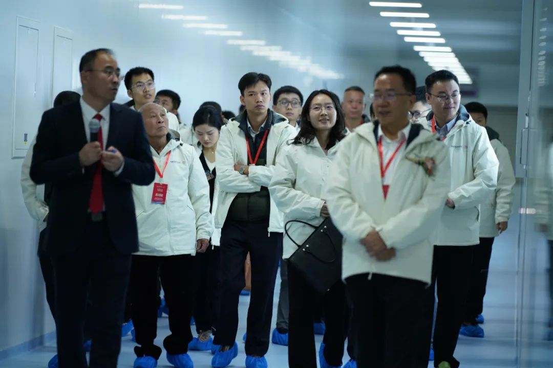 利来国际猪网