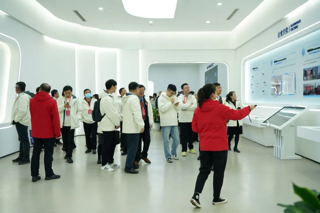 利来国际猪网