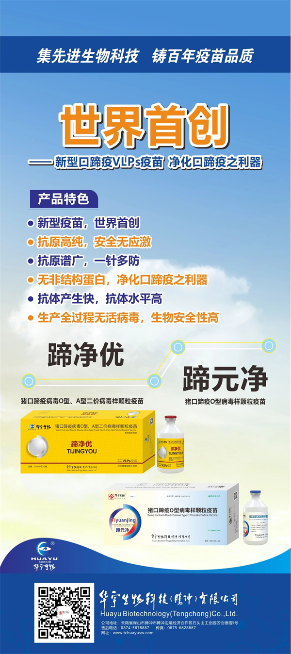 利来国际猪网