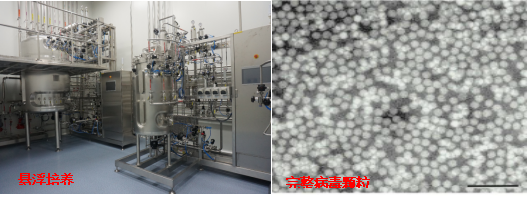 利来国际生物